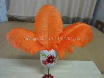 Gražus stručio plunksna 10 VNT plunksnų ilgis 10 - 12 cm / 25 - 30 cm vestuves papuošti įvairių spalvų pasirinktinai