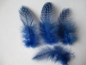 Nemokamas pristatymas 20pcs natūralios mėlynos perlinės vištos plunksnų 5-10cm dekoratyviniai aksesuarai