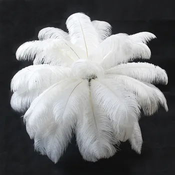50 VNT natūrali balta stručio plunksna 50-55 cm / 20 iki 22 cm stručio plunksna, vestuvių papuošimai aukštos kokybės kamuolio