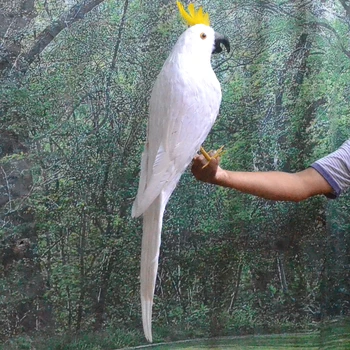 Modeliavimo white parrot putų&plunksnų paukštis didelis 80cm Sieros-kuoduotasis Kakadu rankdarbių,namų, sodo puošmena žaislą dovanų a1919