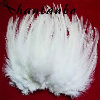 100vnt/daug 4-6 vaiskiai balta gamtos gaidžio plunksna Aukštis (10-15cm) apie gaidžio uodega plumages šalies drabužių dekoravimas