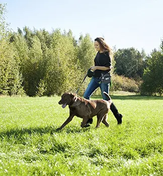 PET N šunelis Gydyti Mokymo Dėklas-3 Būdai, kaip Įranga Šuniui Gydyti Dėklas Su įmontuota Kakoti Maišelį Dozatorius