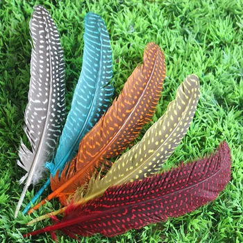 Didmeninė 10vnt aukštos kokybės gražus gamtos perlinių vištų plunksnų 12-17cm / 5-7inch Dekoratyvinių Natūralių spalvų 