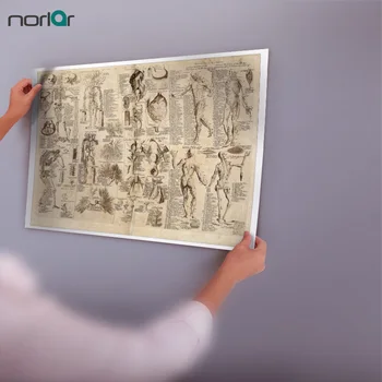 Sienos Menas Nuotrauką Drobė, Tapyba Da Vinci Piešinių Anatomija Retro Plakato spauda Kūno Žemėlapį, Nuotraukas, už Medicinos studijų, be Rėmelio