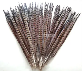 Nemokamas pristatymas gamintojų pardavimo 100vnt 55-60cm 22-24inch Gamtos ringneck plunksnų uodega lady amherst fazanų plunksnos