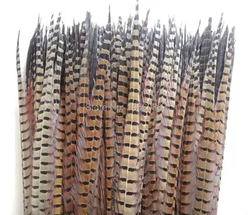 Nemokamas pristatymas gamintojų pardavimo 100vnt 55-60cm 22-24inch Gamtos ringneck plunksnų uodega lady amherst fazanų plunksnos
