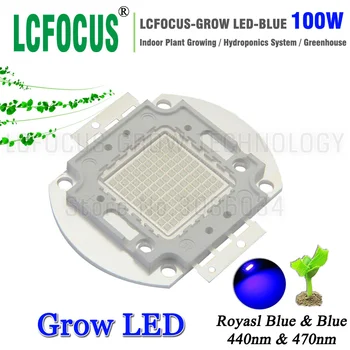 Hydroponics Didelė Galia 100W Augti LED Royal Blue 440nm 470nm Patalpų Augalų Vaisių, Daržovių, 