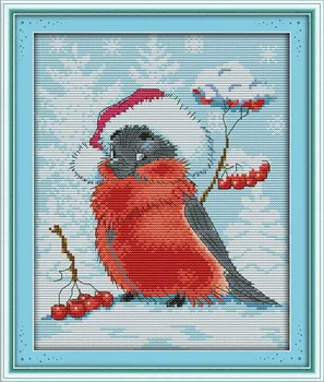 Mielas Kalėdų paukščių Atspausdinta Drobė DMC Skaičiuojami Kryželiu Rinkiniai spausdinti kryželiu Siuvinėjimo rinkinys Rankdarbiams