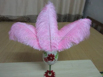 Gražus stručio plunksna 10 VNT plunksnų ilgis 10 - 12 cm / 25 - 30 cm vestuves papuošti įvairių spalvų pasirinktinai