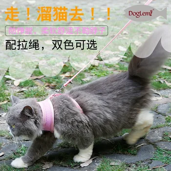 Akių Pet Panaudoti Katė Panaudoti Set Cat Kitten Vaikščioti Pavadėliu ir Pajungti