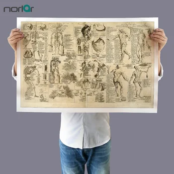 Sienos Menas Nuotrauką Drobė, Tapyba Da Vinci Piešinių Anatomija Retro Plakato spauda Kūno Žemėlapį, Nuotraukas, už Medicinos studijų, be Rėmelio